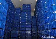 I soffitti delle nuove celle sono piu' alti rispetto al passato.