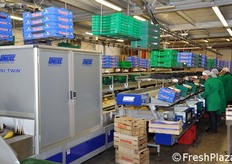 Presso il magazzino di lavorazione, si era nella fase conclusiva della campagna della pera Abate, principale varieta' prodotta nel comprensorio di Ferrara, Modena e Bologna. Il Gruppo Mazzoni movimenta ogni anno circa 26.000 tonnellate di pere - tra produzione propria e conferita dai soci - di cui un'alta percentuale di pere Abate.