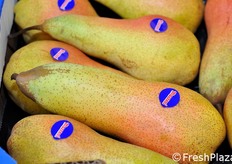 Dettaglio del marchio Mazzoni sulle pere confezionate.