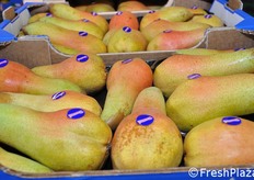 Le cassette (da 30x50 o 40x50 cm) possono contenere da 4 a 6 kg di pere, a seconda della grandezza dei frutti.