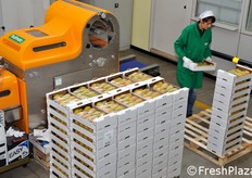 Macchinario per la pellicolatura delle confezioni.