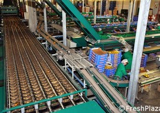 Questa calibratrice e' dotata di 16 uscite.