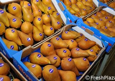 Confezioni pronte di pere Kaiser bollinate.