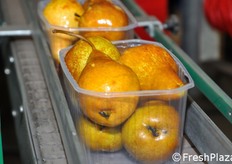 Linea di confezionamento in cestini.