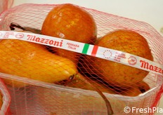 Dettaglio di un cestino retinato.