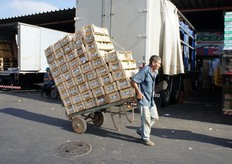 "Durante i miei viaggi intorno al mondo - prosegue Mauro - mi reco sempre a visitare i mercati all'ingrosso centrali. E' li', infatti, piu' che all'interno dei supermercati, che si puo' tastare il vero "polso della situazione" riguardo al mondo ortofrutticolo. A differenza dei negozi al dettaglio, nel mercato centrale si riesce a parlare direttamente con gli operatori del settore, comprendendo meglio la tendenza di un mercato/paese/economia. In una parola, i mercati all'ingrosso sono una "fonte d'ispirazione" indispensabile per il nostro lavoro!"."