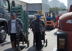 Il mercato ortofrutticolo brasiliano ha subito notevoli modifiche, in tempi recenti.