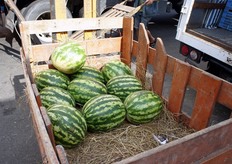 "Dal reportage fotografico, appare evidente il contrasto tra forme ancora "rozze" di presentazione della frutta (vedi qui) e le nuove tipologie di imballaggio, con moderne padelle (cartone/plastica/IFCO etc.), con i cestini/alveoli corredati da etichette, etc."