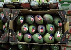 "L'utilizzo di imballaggi moderni e' dunque un "investimento" (non semplicemente un costo) per una corretta preservazione e commercializzazione del prodotto fresco. "Non dimentichiamo che l'uso di imballaggi di qualita' contribuisce sostanzialmente anche alla diminuzione dello spreco alimentare!", conclude Mauro Stipa."