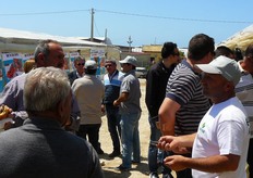 L'evento ha visto la partecipazione attenta di produttori, tecnici e vivaisti, a conferma dell'ottimo lavoro fin qui svolto da Gautier Sementi per l'affermazione di un prodotto di altissimo pregio come Faustyno F1.