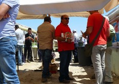 Agli operatori presenti e' stata presentata una serra vetrina, nella quale prendere visione di un trapianto di Faustyno del 5 gennaio 2012 dove, tra le caratteristiche salienti, spicca la tenuta alle basse temperature. Infine, la gamma si completa di tolleranze (HR) ToMV;Va/Vd;Fol:0,1;TSWV(0); IR) Ma/Mi/Mj;Tylcv), cosa che permette di adattare il prodotto a diverse condizioni di coltivazione.