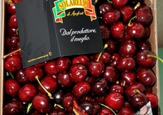 In Italia, secondo il Ministero della Salute, il 22,9% dei bambini risulta sovrappeso e l'11,1% obeso, cioe' 1 bambino su 3 ha un peso superiore a quello che dovrebbe avere per la sua eta'. Riportando questi valori a tutta la popolazione di bambini di eta' 6-11 anni si arriva a una stima di piu' di 1 milione di bambini sovrappeso od obesi in Italia.