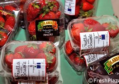"Il Ministro delle Politiche Agricole Alimentari e Forestali, Mario Catania, pur essendo impegnato altrove, ha voluto far giungere il proprio contributo alla presentazione di "Frutta nelle Scuole" di Roma, con un messaggio in cui, fra l'altro sostiene: "Questo programma comunitario svolge un ruolo fondamentale, non solo promuovendo tra i piu' piccoli una maggiore conoscenza delle produzioni ortofrutticole nazionali, ma anche sensibilizzandoli sull'importanza di una sana alimentazione"."