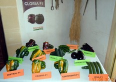 In primo piano la gamma dei prestigiosi peperoni Southern Seed.