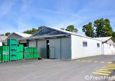 La cooperativa tratta principalmente prodotti orticoli quali: zucchino, anguria, ravanello, insalate e pomodori, raggruppando le produzioni di 30 soci conferitori, attivi su 60 ettari di coltivazioni, tutte in ambiente protetto.