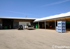 Il magazzino di lavorazione e stoccaggio si estende su una superficie di 700 metri quadrati. Sono presenti 5 celle frigorifere, 4 destinate alla conservazione delle orticole, una quinta recentemente realizzata per le angurie.