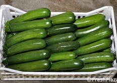 Il prodotto e' disponibile da settembre a giugno.