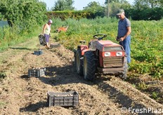 Operazioni di scavatura.