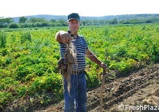 "Sono rimasto sorpreso - ci dice Luigi - nel verificare la grande produttivita' di questa pianta. A mio parere, si potranno raccogliere fino a 100 quintali per ettaro"."