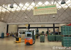 Agricola Iorio commercializza al 100% sul mercato italiano e prevalentemente attraverso la grande distribuzione organizzata; e' fornitore nazionale della catena CONAD. Agricola Iorio e' certificata GlobalGAP, BRC e IFS.