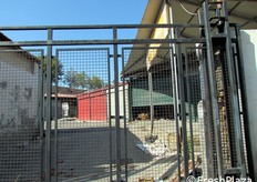 I box del vecchio mercato ortofrutticolo ormai dismesso. Per i grossisti la struttura era anche scomoda a livello logistico, vista la sua ubicazione nel centro cittadino.