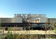 I grossisti ortofrutticoli, alla fine dello scorso anno, hanno deciso di occupare i locali arbitrariamente, esasperati dalle promesse mai concretizzate.