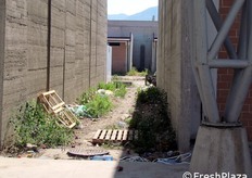 L'area su cui sorge la nuova struttura assomiglia piu' ad un cantiere abbandonato che ad un centro mercatale.