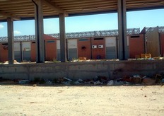 "Le previste tettoie laterali del "nuovo" mercato ortofrutticolo, che si vedono avvicinandosi alla nuova struttura. Lo stato di abbandono e' evidente dai numerosi rifiuti presenti."