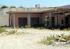 Alcuni box sono ormai alla merce' delle sterpaglie. In uno di essi si intravede una lavatrice.