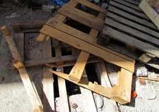 "Un tombino "messo in sicurezza" da alcuni pallet rotti."