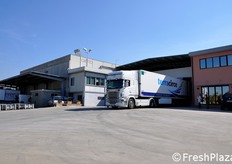 FreshPlaza si e' recentemente recata in visita presso la AOP Serena, associazione che riunisce le organizzazioni di produttori Giotto e Alto Casertano, nella Regione Campania.