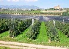 Gli impianti sono progettati, realizzati e gestiti seguendo i criteri utilizzati con successo in una regione molto lontana da qui, ma ben nota per la sua melicoltura d'eccellenza: l'Alto Adige!