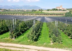 Gli impianti sono progettati, realizzati e gestiti seguendo i criteri utilizzati con successo in una regione molto lontana da qui, ma ben nota per la sua melicoltura d'eccellenza: l'Alto Adige!