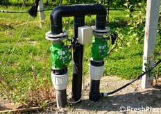 Anche l'impianto di irrigazione e' di ultima generazione, con un sistema a goccia che assicura massima efficienza e risparmio idrico.