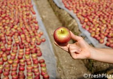 E ora tocca alla parte superiore arrossarsi al sole!