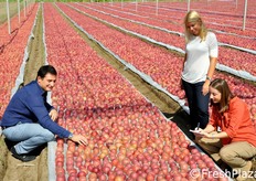 "In foto: Gennaro Galdiero insieme a Serena Pittella (in piedi) e Rossella Gigli, mentre illustra le prospettive per la campagna in corso: "Anche se la Melannurca costituisce solo il 5 per cento del nostro business, la nostra fama deriva pero' in buona parte proprio da questa mela unica, forse poco nota all'estero, ma particolarmente apprezzata sul mercato domestico, nonostante il prezzo elevato"."