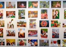 Il delicato compito della scelta dei migliori scatti in concorso e' stato affidato ad una Giuria composta da esponenti istituzionali, esperti di comunicazione e fotografi, che ha selezionato le 100 migliori immagini tra tutte quelle pervenute entro i termini di partecipazione.