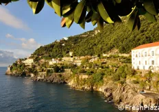 La Costiera Amalfitana e' stata dichiarata Patrimonio dell'Umanita' dall'Unesco nel 1997. Qui si produce un limone con caratteristiche uniche: il Costa d'Amalfi IGP (Indicazione Geografica Protetta), noto anche come Sfusato Amalfitano.