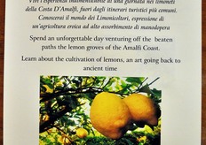 "FreshPlaza si e' recata sul luogo per assistere, lo scorso 13 ottobre 2012, all'ultimo "Lemon Tour" della stagione. Il tour e' una lodevole iniziativa lanciata nel 2011 dall'impresa Costieragrumi De Riso, di proprieta' dell'omonima famiglia residente a Minori (in provincia di Salerno)."