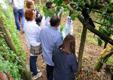 Il gruppo dei partecipanti al Lemon Tour.