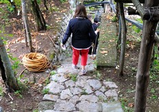 Ci spostiamo verso un limoneto dove si sta ancora raccogliendo prodotto, prima della chiusura della stagione 2012.