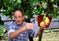 L'operazione del taglio.