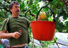 Un tempo, le operazioni di raccolta e trasporto venivano effettuate da lavoranti donne.