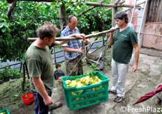 Operazioni di pesatura.