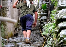 La fatica dei limonicoltori e' espressione di un'agricoltura eroica, ad alto assorbimento di manodopera.