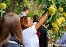 Il tour procede attraversando anche un castagneto.