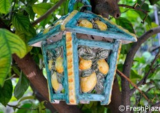 Il limone e' il motivo dominante anche degli arredi!