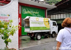 Questo veicolo piu' piccolo e' invece adibito al trasporto fino dentro lo stabilimento delle ceste caricate a spalla dai raccoglitori.
