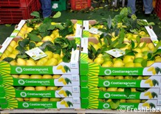 Confezionamento del prodotto a foglia.