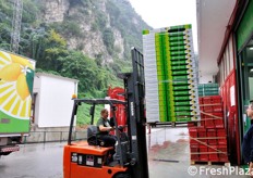 Movimentazione dei cartoni per il confezionamento.